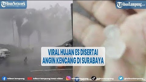 Viral Hujan Es Disertai Angin Kencang di Surabaya, 30 Pohon Tumbang @TRIBUNLAMPUNGNEWSVIDEO