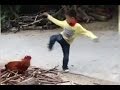 【Funny Kung Fu】 Kid vs. Master Rooster ! Awesome & funny fight