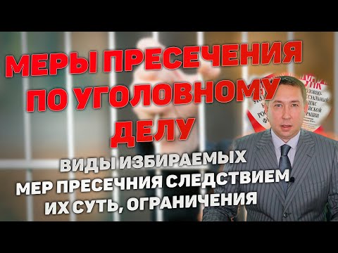 Меры пресечения по уголовному делу. Виды, суть избираемых мер пресечения. Ограничения.