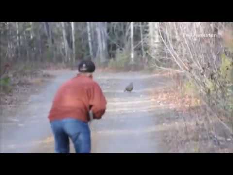 Best Hunting Fail - შეცდომები ნადირობის დროს