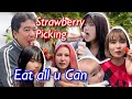 Strawberry Eat All u Can in Japan 今が旬のイチゴ狩りにみんなで行きます！❤️