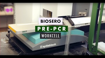 RNA to cDNA Conversion + Amplification