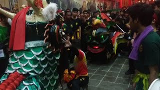 🔴CAP GO MEH BOGOR - Brotherhood of KIE LIN PGB BANGAU PUTIH & GIE SAY SUKABUMI