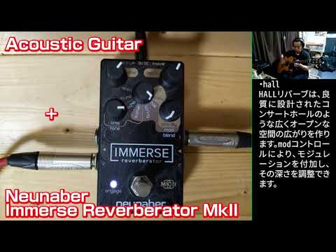 【エフェクター】Neunaber Immerse Reverberator MkII+Acoustic Guitar