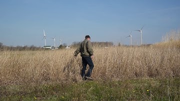 Introduction to Switchgrass Growing in Ontario