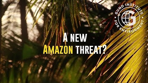 Amazon Mining Deforestation [Teaser]
