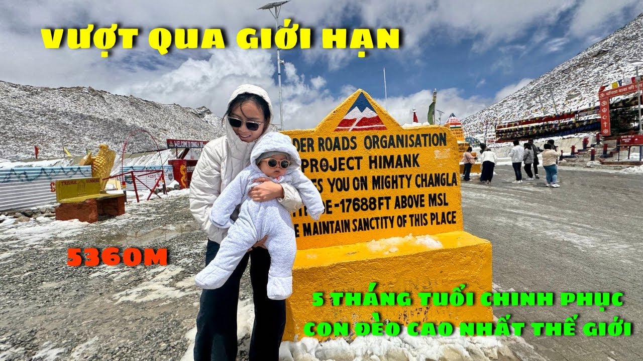 VƯỢT QUA GIỚI HẠN GẤU CHINH PHỤC ĐÈO CAO NHẤT THẾ GIỚI HIẾM NGƯỜI DÁM TỚI….