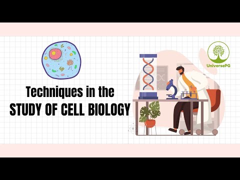 સેલ બાયોલોજી I યુનિવર્સપીજી I ટેકનિક અબ સેલ બાયલોજીના અભ્યાસમાં વપરાતી તકનીકો