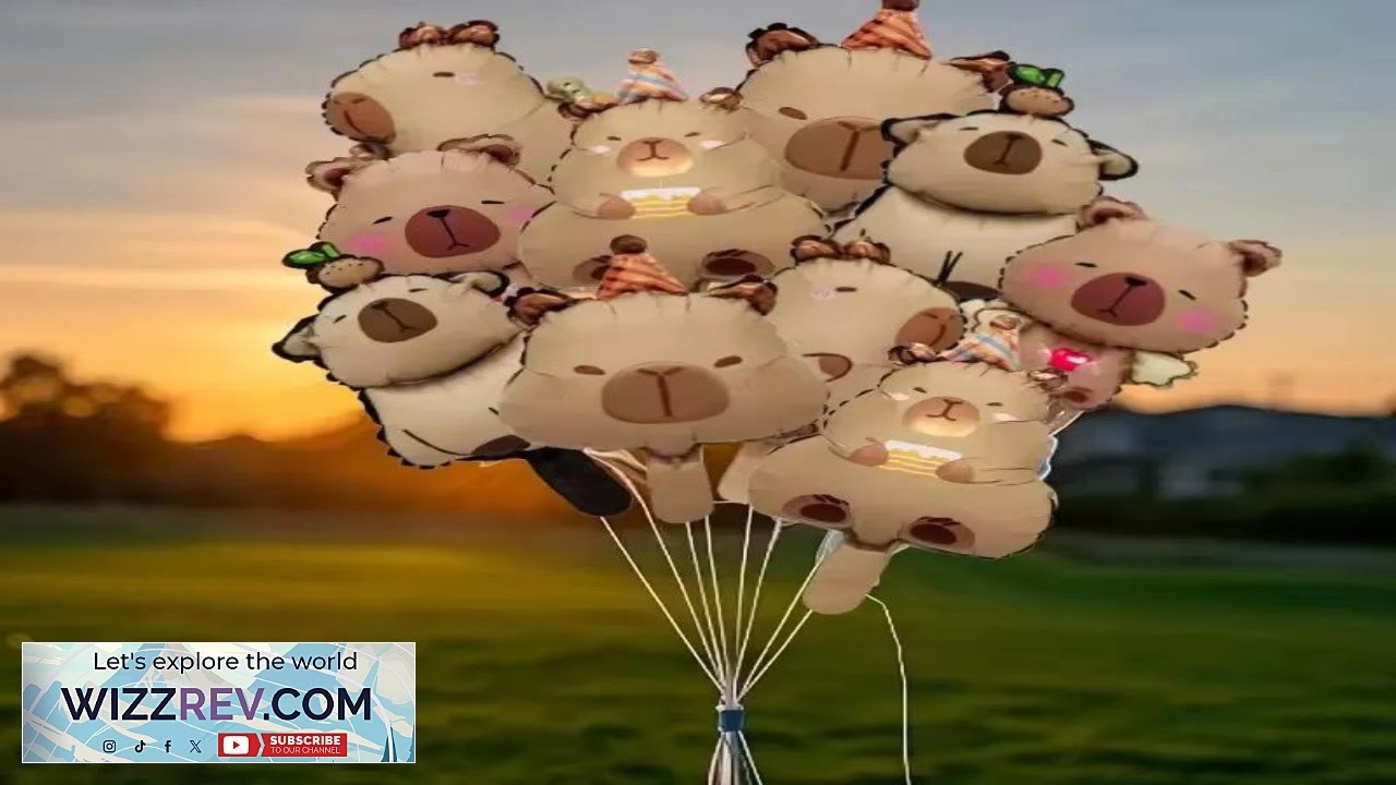 10 30 50 шт. мини-шариков из алюминиевой пленки «Капибара» для украшения вечеринки по случаю рожд...