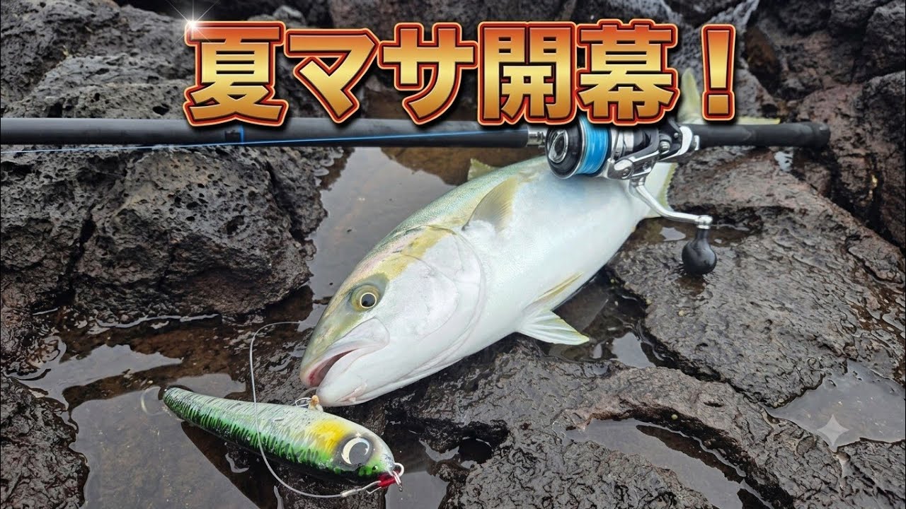 ロックショアヒラマサ青物プラグ7個 ララペン240ダイブスター220デコペン他 ロックショア】夏マサ開幕しました。【ララペン240】 - YouTube