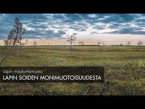 Video: Ero Rojaltien Ja Aateliston Välillä