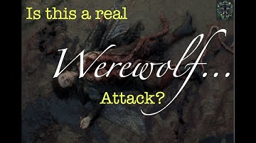 Werewolf the Podcast: Real Werewolf Attack Captured on Film?  Review by a Werewolf