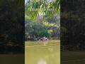 COLLEGE TRIP DAY-5 #shorts #youtube #trending #viral #vlog #minivlog #viralvideo #shortvideo