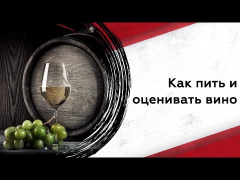 Как пить и оценивать вино | Винный гид