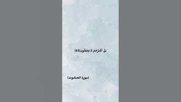 سورة العنكبوت||ياسر الدوسري #ياسر_الدوسري #سورة_العنكبوت #لايك #اكسبلور