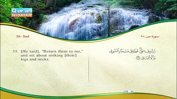 38 | Sad | Saber `Abdul-Hakam | Meshary Rashied Al-Afasy | Sa`d Al-Ghamidy - سورة ص