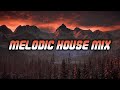 Melodic House Mix 2024 | Tinlicker · Ben Böhmer · Yotto · Marsh Style Synthwave