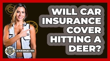 Will Car Insurance Cover Hitting A Deer? - Car Performance Pros