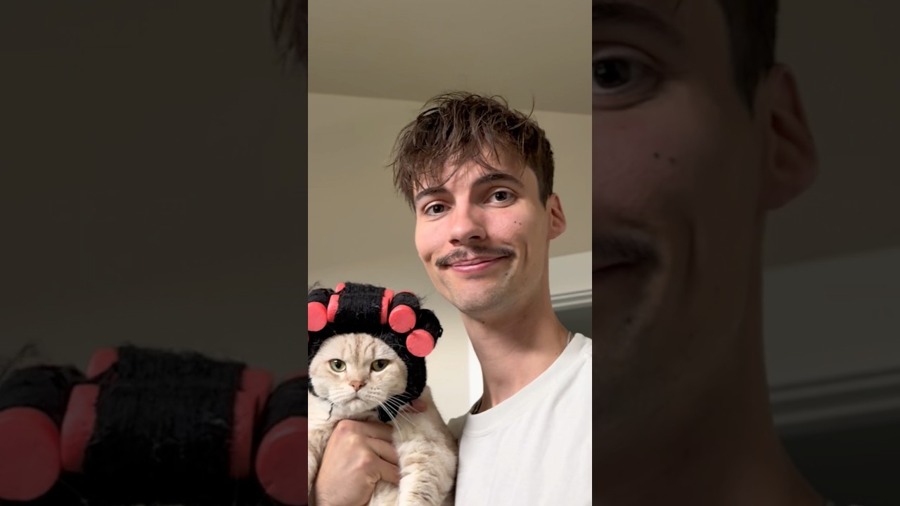 Less sleep than usual 😑 #catshorts #catsofyoutube #cat #catvideos #funny