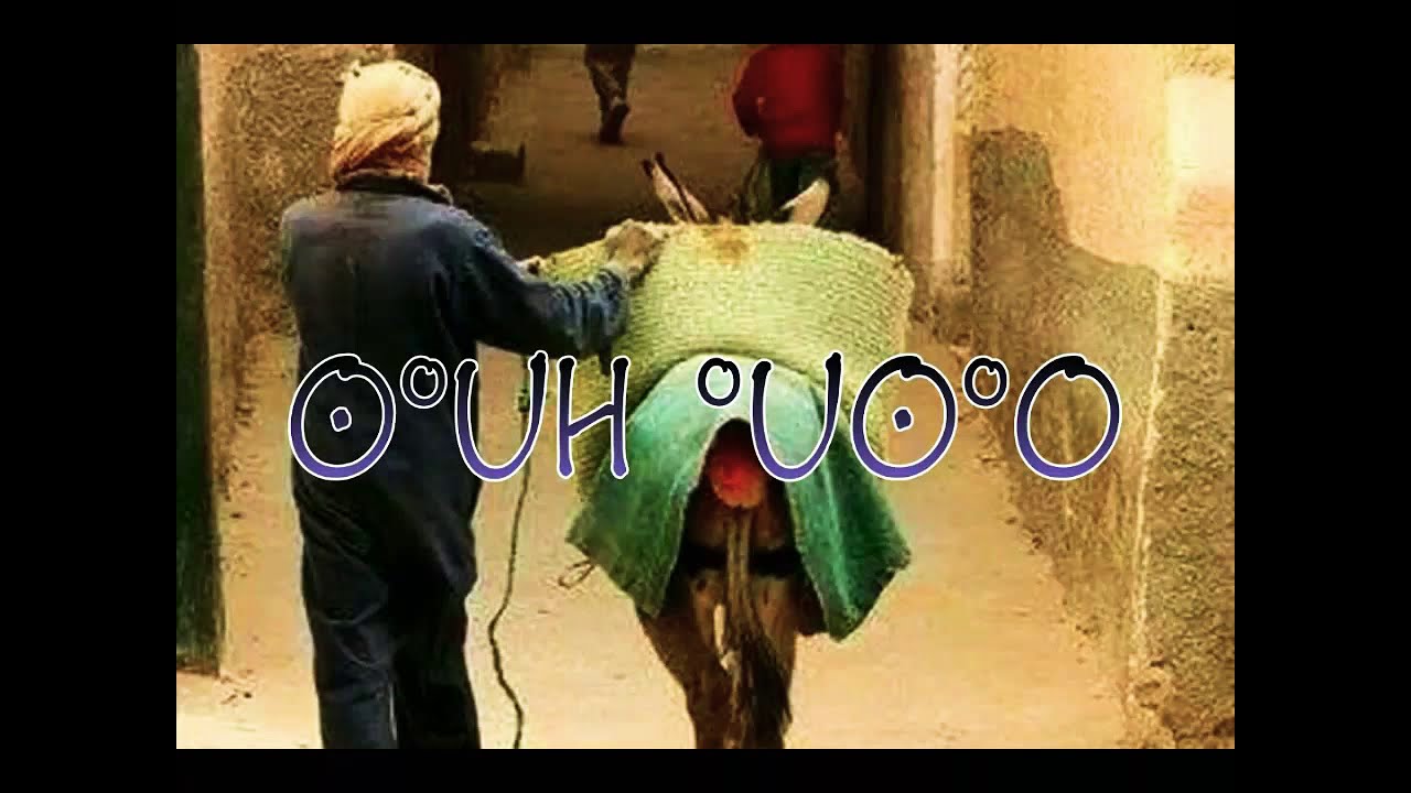 سول أوسار للفنان الحاج دواق