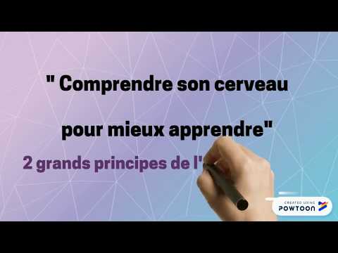 Comprendre le cerveau pour mieux apprendre