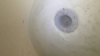 How to unclog bathtub that is backing up.