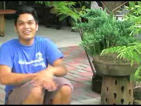 parol silent sanctuary