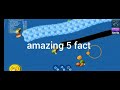 wormzone io gameplay amazing 5 fact discover