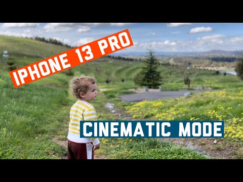 iPhone 13 Pro Cinematic Mode Demo #ShotOniPhone