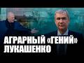 Лукашенко: Спасти колхозы любой ценой!