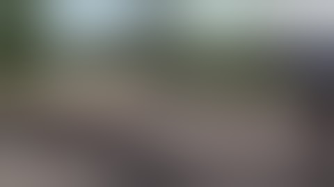 Best Fails of the Week 2 November 2013    FailArmy   / VIDEO CASSETADAS OFICIAL