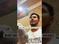 Amazing Bird in Egypt Pyramid complex can speak Arabic.