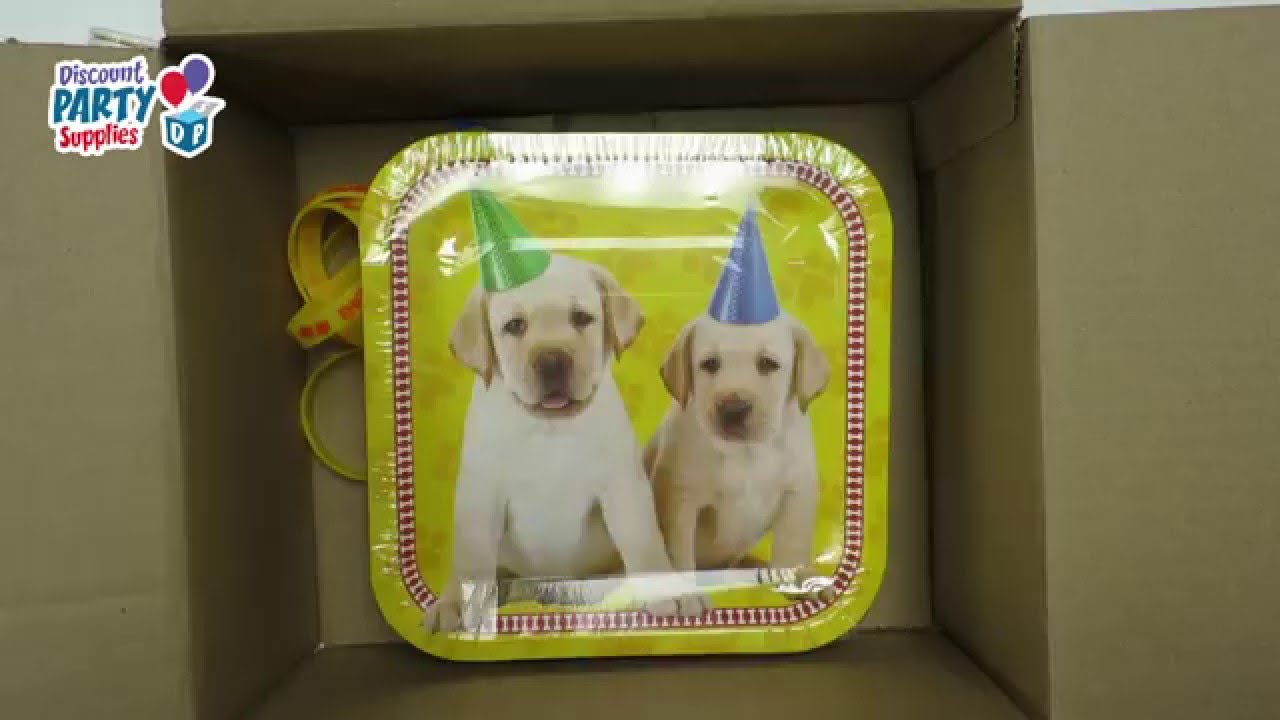 Cute Puppy Party Supplies are in Today's Party Box (2018)