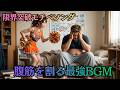 【限界突破】腹筋を割る最強モチベソングBGM🔥「限界突破!マッスル・チアーズ」〜メタボ男の夏海大逆転劇〜