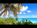 Tropical Bliss: 3 Hours of Beach Meditation to Crashing Wave Sounds