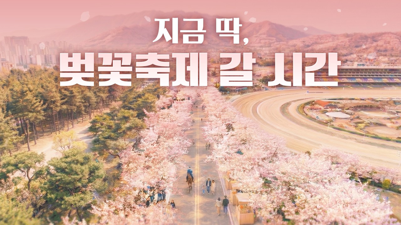 이번 주 벚꽃축제 시작🌸 가족과 함께 나들이 최고의 명소, 바로 이곳!