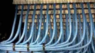 cat 6 amazing dressing and termination