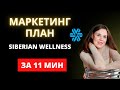 Маркетинг план Siberian Wellness (Сибирское Здоровье) | ПРОСТЫМИ СЛОВАМИ за 11 минут