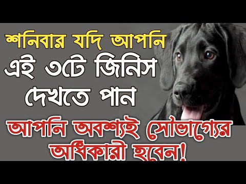 শনিবার যদি আপনি এই তিনটে জিনিস দেখতে পান জানবেন আপনি সৌভাগ্যবান হচ্ছেন।