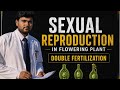 Double Fertilisation in Flowering Plants | Class 12 Biology | NEET Preparation 