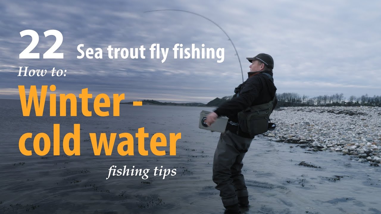 How to • Sea trout Fly fishing • Winter cold water • fishing tips
