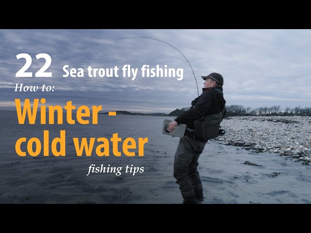 Open-Water Winter Trout - The Fisherman