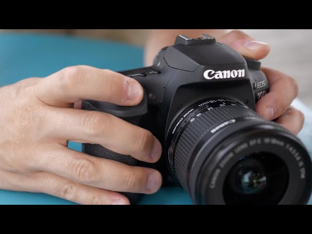 Canon EOS 90D Review: DPReview | Photography News, Gear Reviews
