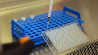 Accurate and Dependable Lab Results. Fast.