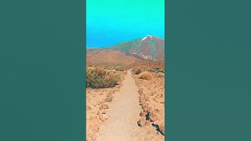 تلاوة نادرة بقراءة ورش /مقطع حزين من سورة يوسف /وجاءوا على قميصه بدم كذب../sourate yusuf nadira