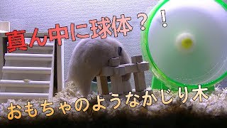 【ハムスター】おもちゃのようなかじり木＃１４