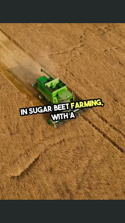 𝐓𝐨𝐩 𝟏𝟎 𝐁𝐞𝐞𝐭-𝐏𝐫𝐨𝐝𝐮𝐜𝐢𝐧𝐠 𝐂𝐨𝐮𝐧𝐭𝐫𝐢𝐞𝐬 𝐢𝐧 𝐭𝐡𝐞 𝐖𝐨𝐫𝐥𝐝