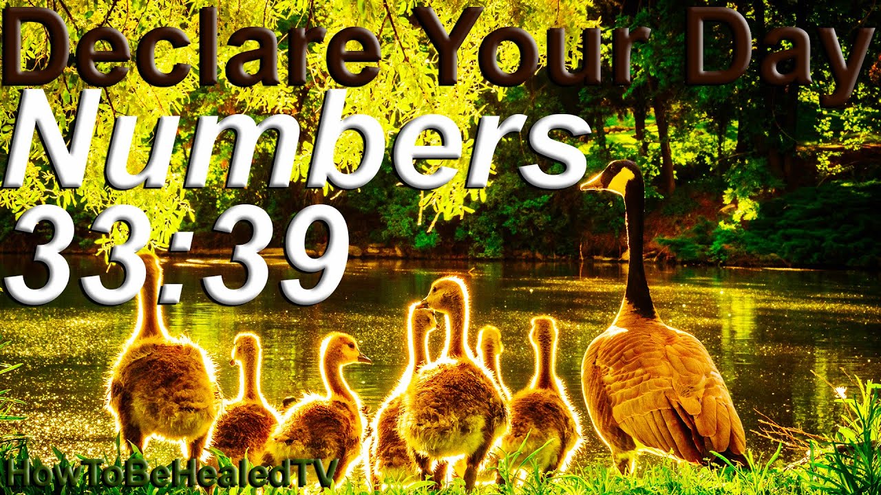 Numbers 33:39 - Long Life Scriptures - Declare Your Day - YouTube