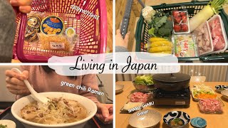 housewife daily of shopping at Daiso, Seijyoishii, Japan supermarket, and shabu-shabu party 🎶 by Linna in Japan 41,911 views 2 months ago 20 minutes