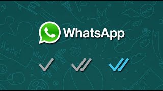 ★ WHAT DO THE CHECKS MEAN IN WHATSAPP CHATS - 2022